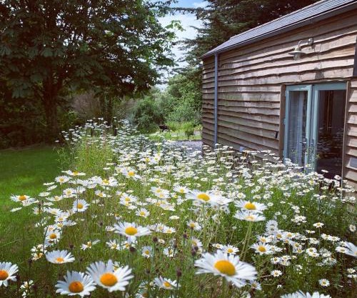 Bream Barn - sea view, woodburner, easy walk to the beach, parking, full kitchen