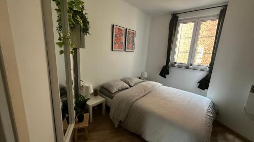 Brederode Suites 207
