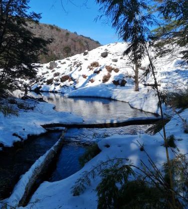 Brisas del llaima