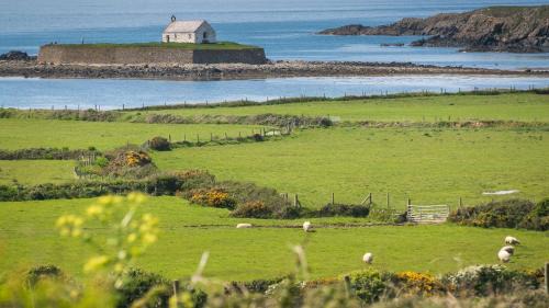 Bryntirion Wyn