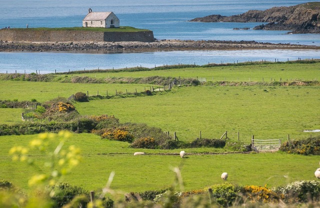 Bryntirion Wyn - sleeps 4 guests in 2 bedrooms