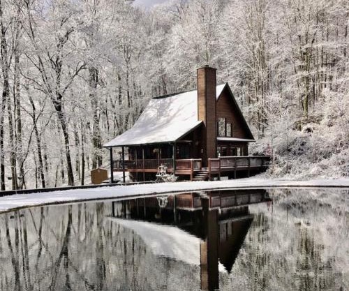 Bumble Bee Cabin