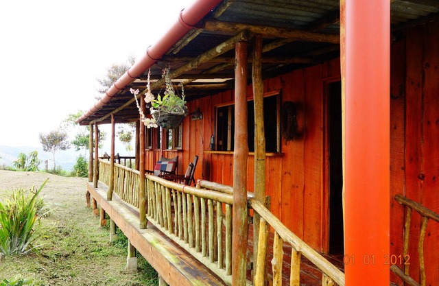 Bungalow en la jungla