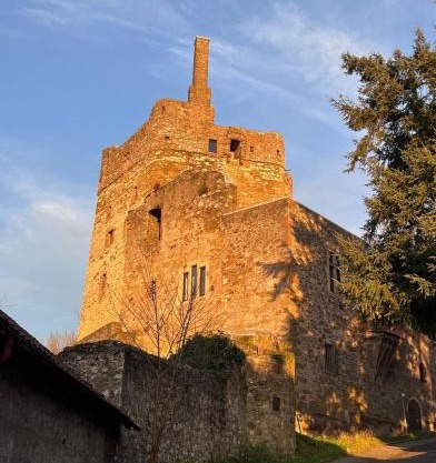 Burg Hermannstein - Queens Room