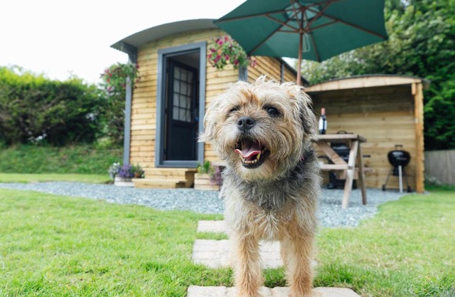 Buttles Shepherd's Hut