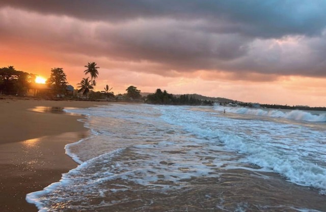 #C Tropical Rainforest Retreat Ocean View w/hottub