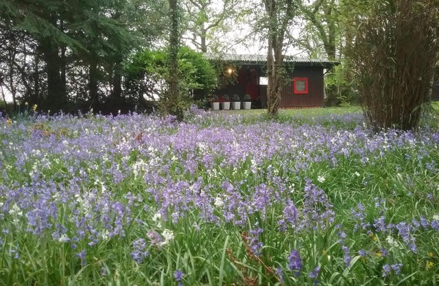 Caban Cwtch