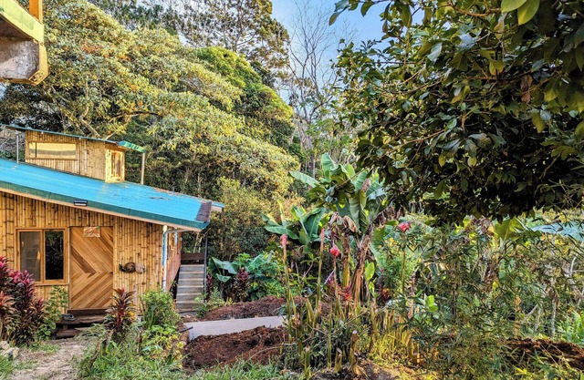 Cabaña junto al bosque con vista de la montaña