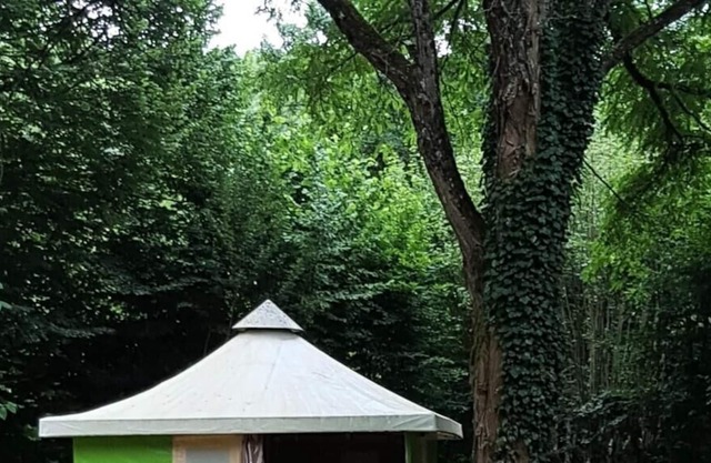 Vrbo Property