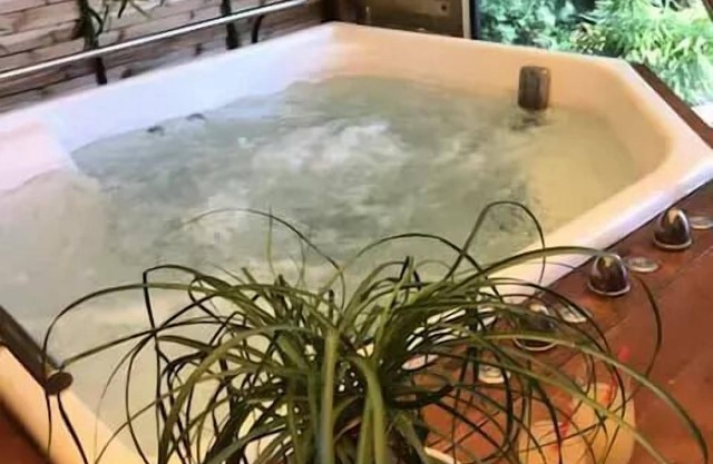 Vrbo Property