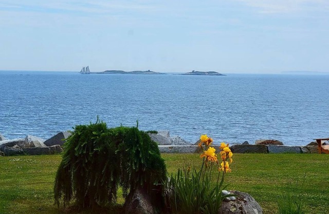 Candy Cove Peace and seclusion by the Sea in Maine