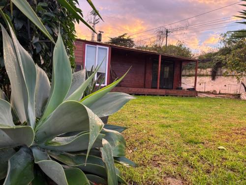 Caparica wood house
