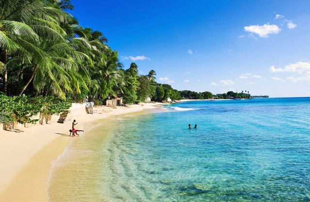 Caribbean Experience! Spacious Units w/ Kitchen! Short Drive to Gibbes Beach!