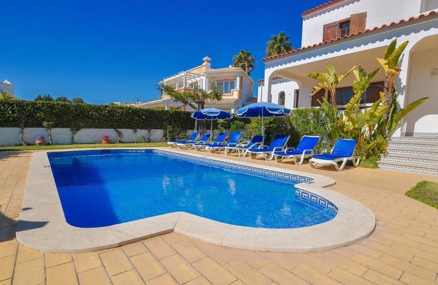 Casa Das Palmeiras OCV - Ideal for Families