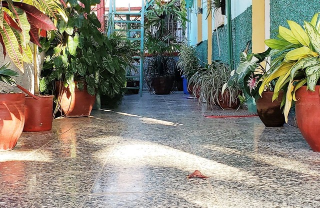 Casa Nené