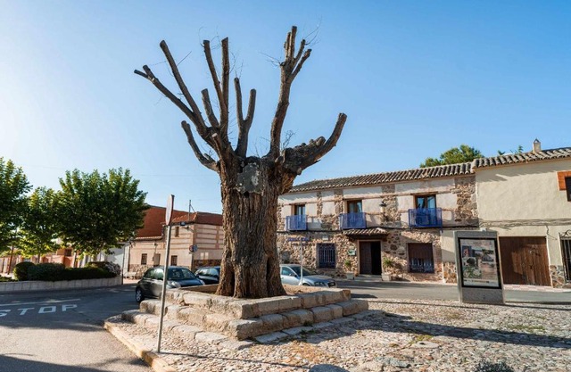 Casa Rural Álamo Grande