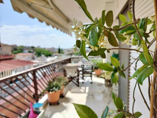 CastleView 2BR Spacious Apartment with City View