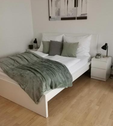 Central Alpha Apartment 7min to the city centar