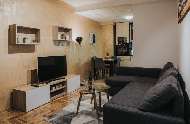 Central New Apartment