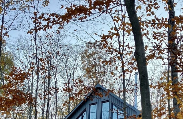 Chalet Bolton - in the forest, family vacation or telecommuting!