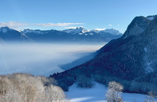 Chalet in the mountains with a view of Lake Geneva