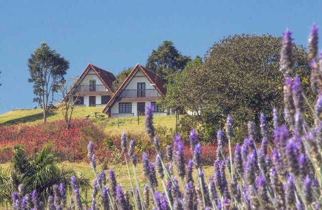 Chalets estilo Suizo en el punto más alto de la Cuesta