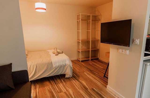 Charming brand new ribbed studio near Parc du Pilat