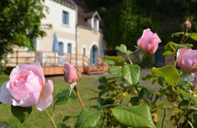 Casa de vacaciones única con jardín, cerca de Loches y castillos de la región