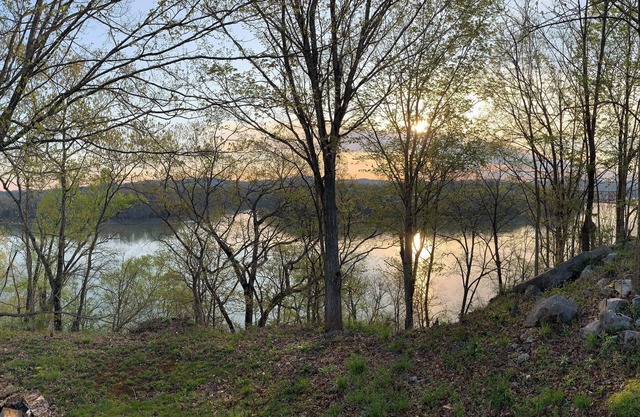 Charming 3-bedroom house overlooking Lake Cumberland.