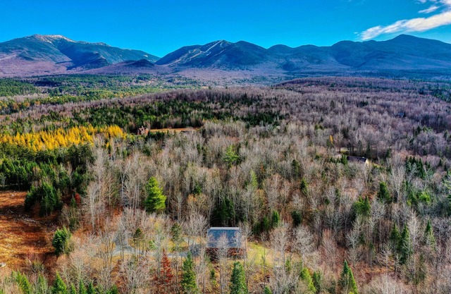 Cabina con encanto y privado w / fuego y vistas al bosque!