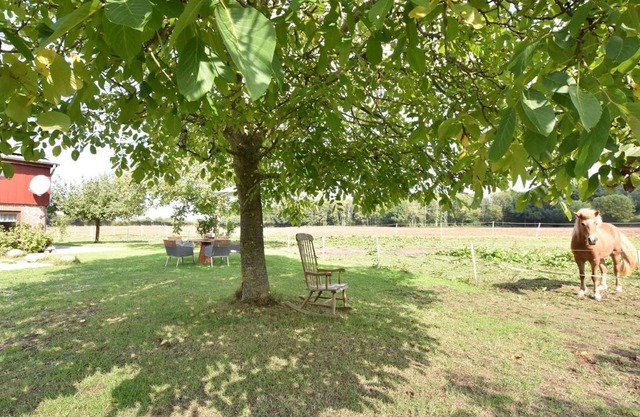 Charming Apartment in Pugholz near Sea