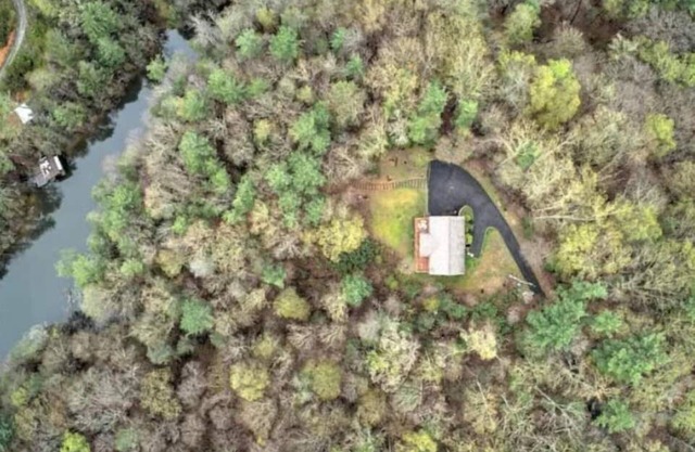 Chase Cove-Lakeside Retreat with Private Dock