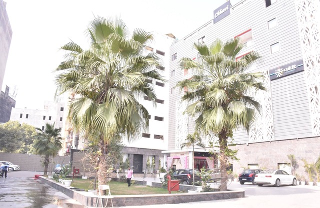 Chhavi Hotels