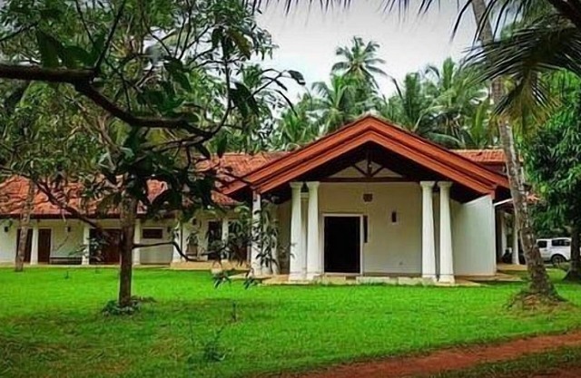 Coco Villa Peach Tree
