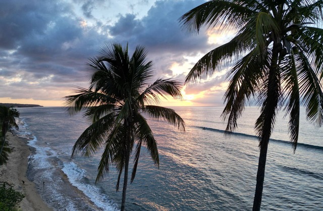 Coffee, Sun, Coconuts, Hammocks, Waves, Relaxation