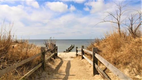 Coles Cove - Pet Friendly!