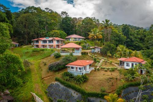 Colinas Tinamastes
