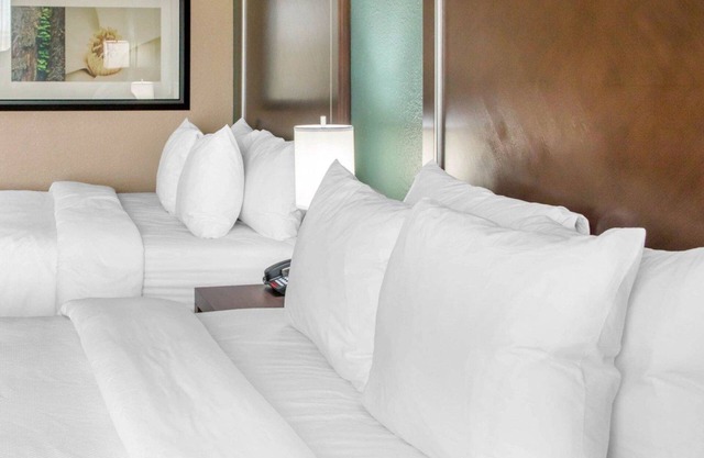Comfort Inn & Suites San Marcos near Outlet Mall
