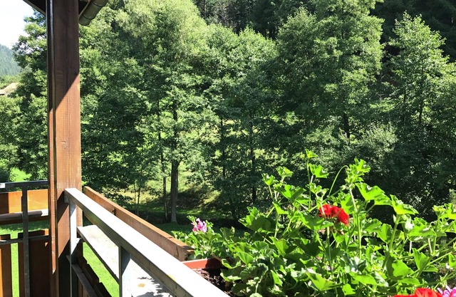 Cómodo apartamento en Baiersbronn con balcón