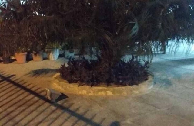 ¡Cómodo apartamento cerca de la juerga!