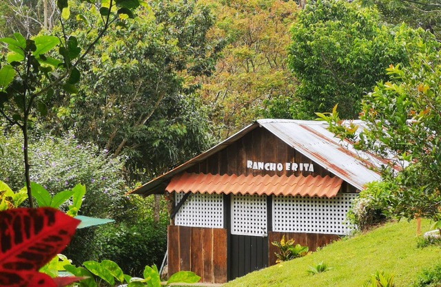 Cabaña y Montaña Finca completa