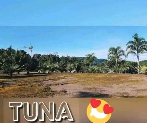 Comunidad Ecoturistico TUNA ARUTMA JEE