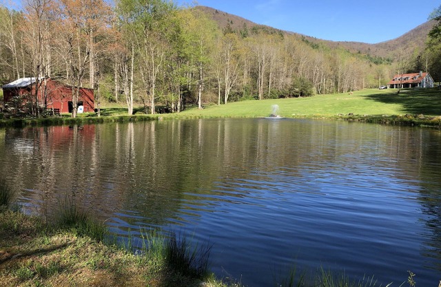 Cabina de tranquilidad Situado cerca de Gatlinburg, Dollywood, Dixie Stampede Y Biltmore