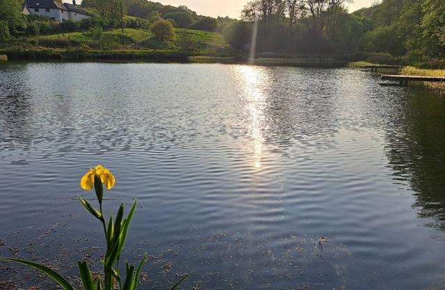 Cosy Bolthole-garden & hot tub-Exmoor 7m-Fishing
