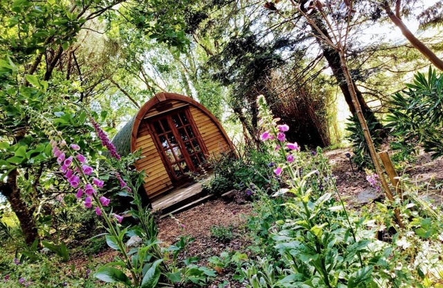 'Wollemia' La cápsula pacífica en The Greenhouse Spa Retreat