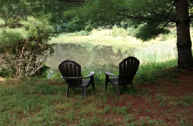Suite Estudio Cottage con cama King en 300 Acre Mountain Retreat