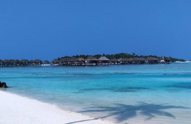 Courtyard Maldives