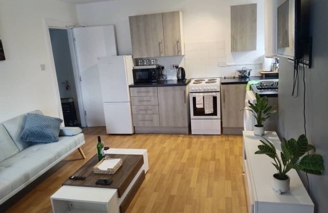 Cozy and Central City Apartment in Liverpool