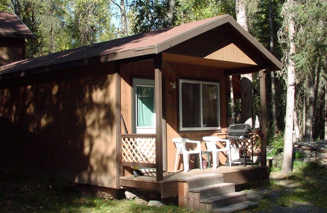Cozy Cabin in the trees