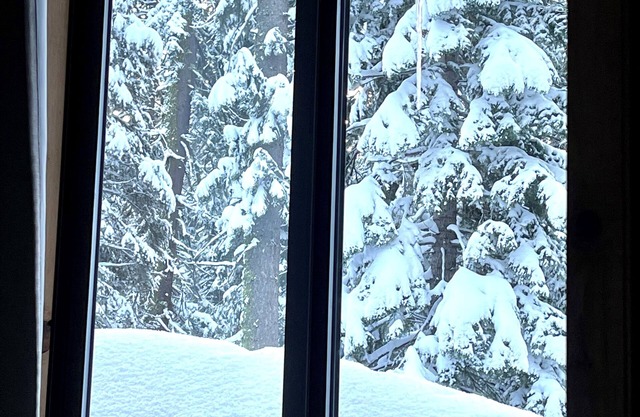 Cozy cabin near Lake Tahoe. 2bed 2bath.